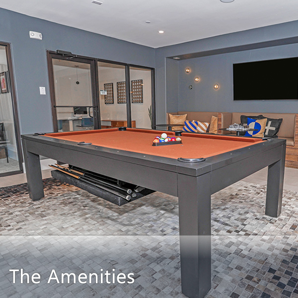 Features & Amenities